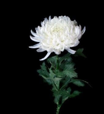 반복되는 산업재해 차단과 희생자 추모