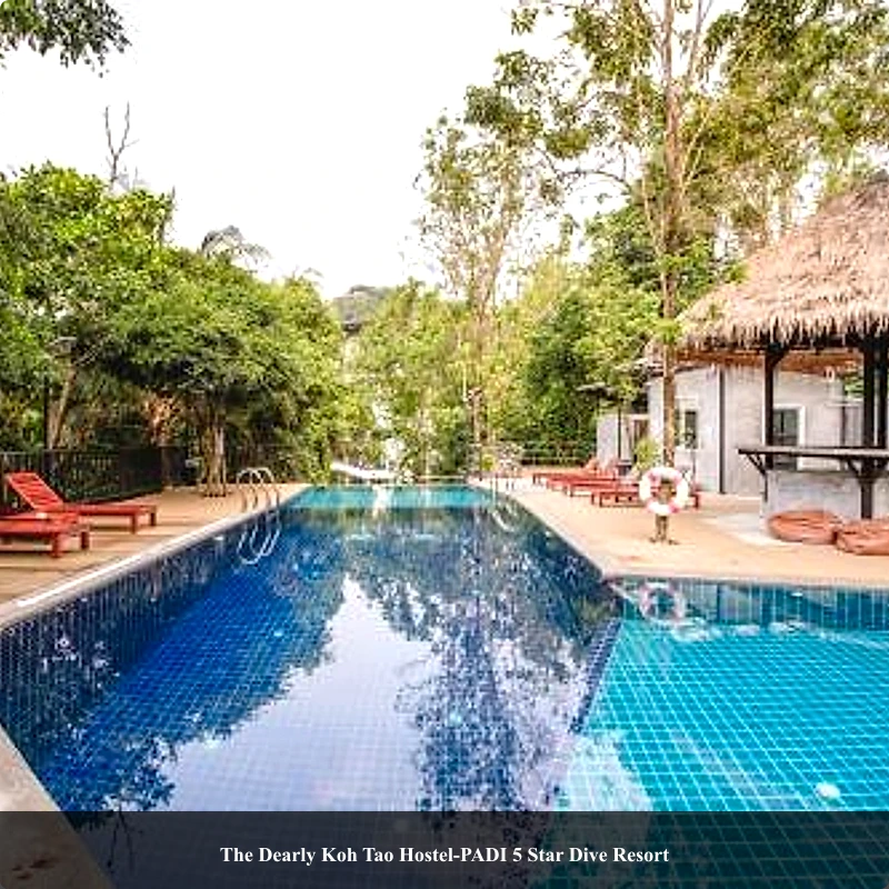 The Dearly Koh Tao Hostel-PADI 5 Star Dive Resort_1