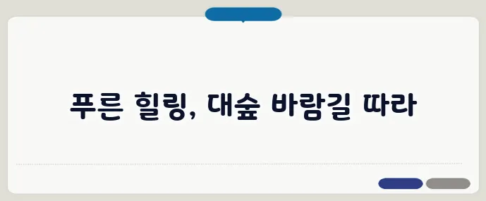 담양 죽녹원과 메타세콰이어길 코스