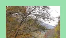 동학사계곡