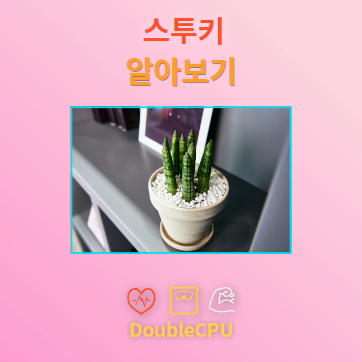 스투키 탐구