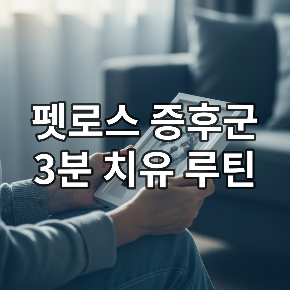 사랑하는 반려동물의 사진을 부드럽게 감싸 쥐고 있는 손, 펫로스 증후군 치유 과정을 상징하는 따뜻하고 위로 가득한 이미지.