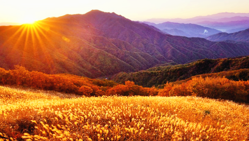 장수 장안산군립공원