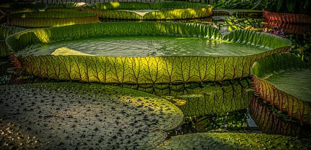 한국 사찰의 벽화와 그 의미: 건축과 미술의 만남