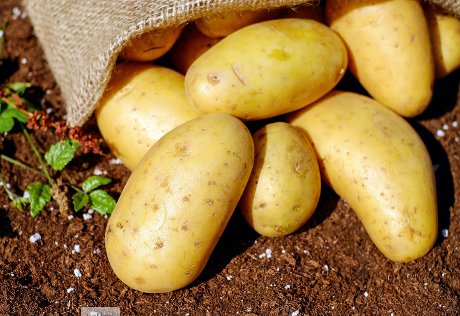 팔꿈치 색소 침착