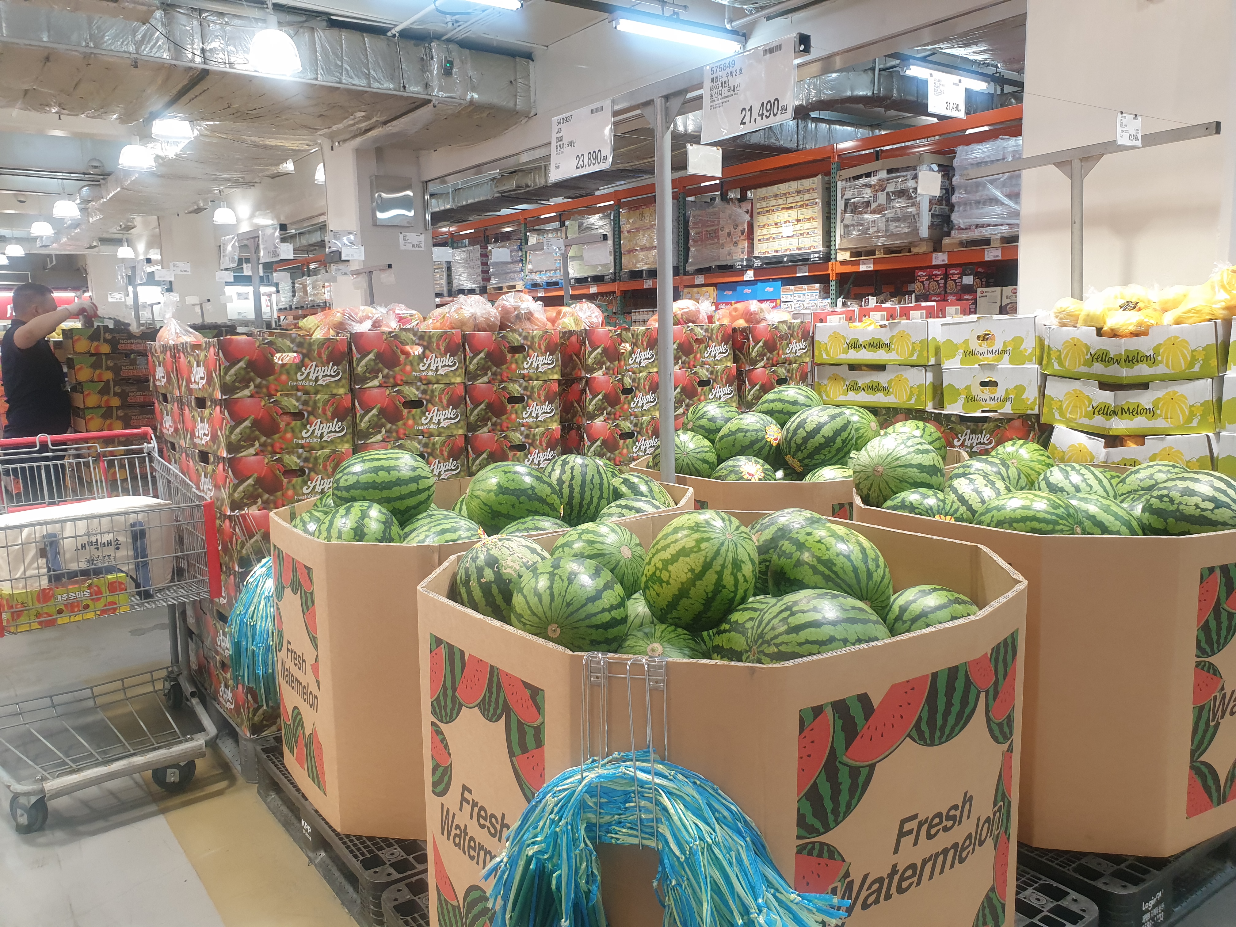 코스트코 과일코너