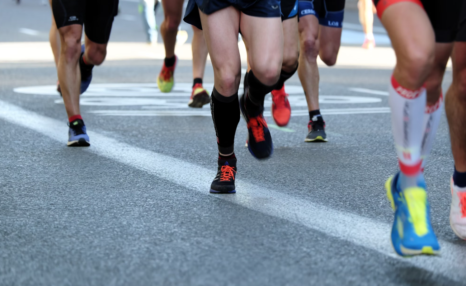 마라톤 코스 종류별 특징 3