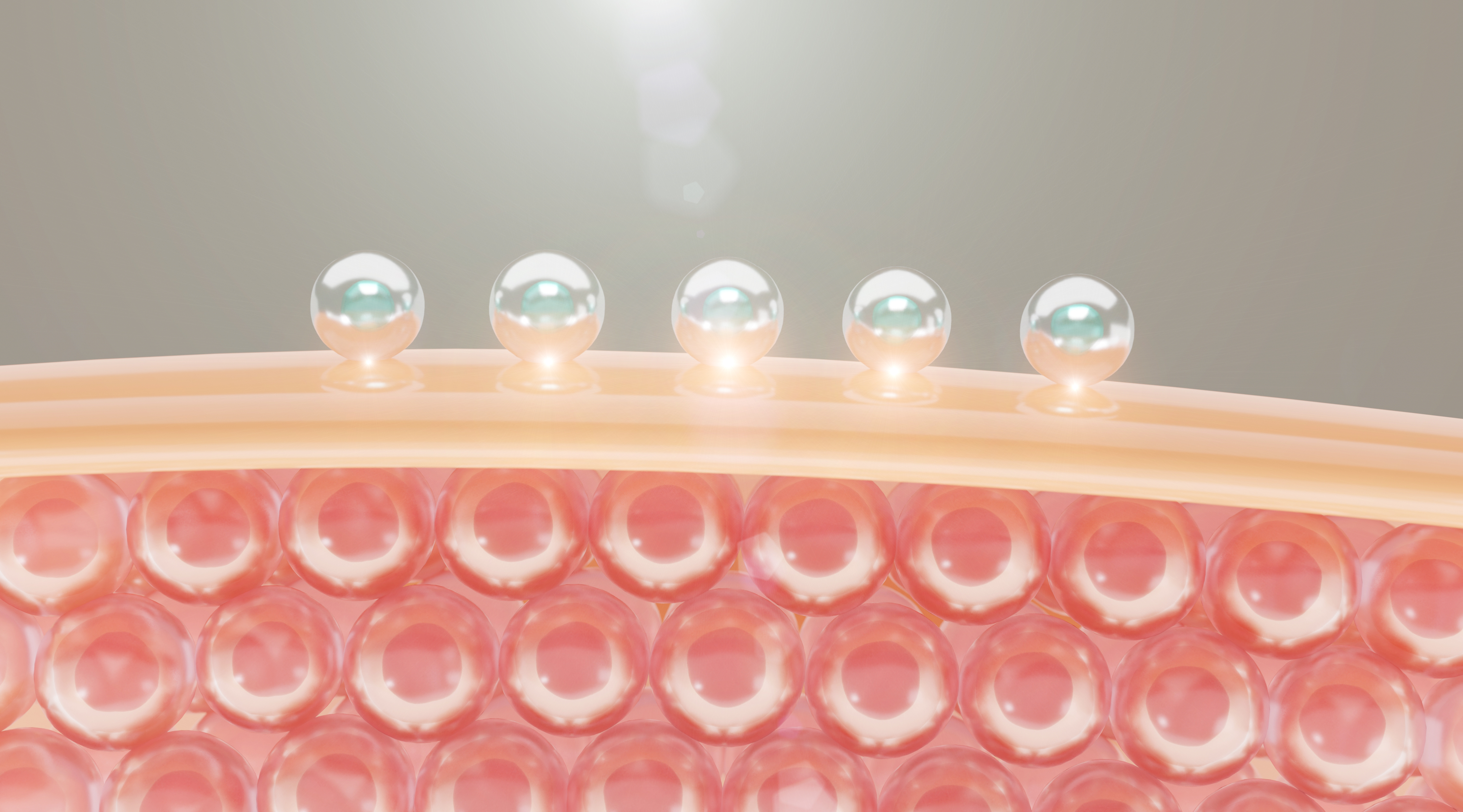 피부와 콜라겐을 의미하는 이미지입니다.