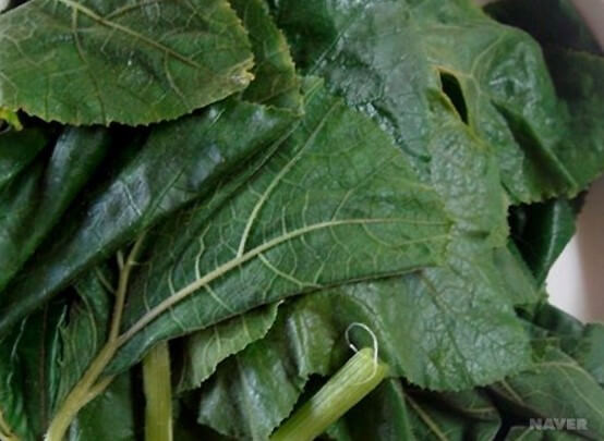 호박잎 효능과 성분, 칼로리를 확인해 보세요! 나이가 들어가니 호박잎을 쌈처럼 먹는 게 맛있더라고요! 다른 반찬이 필요 없는 호박잎에는 어떤 효능이 있는지 볼까요~ 맛있게 먹고 건강해져요!