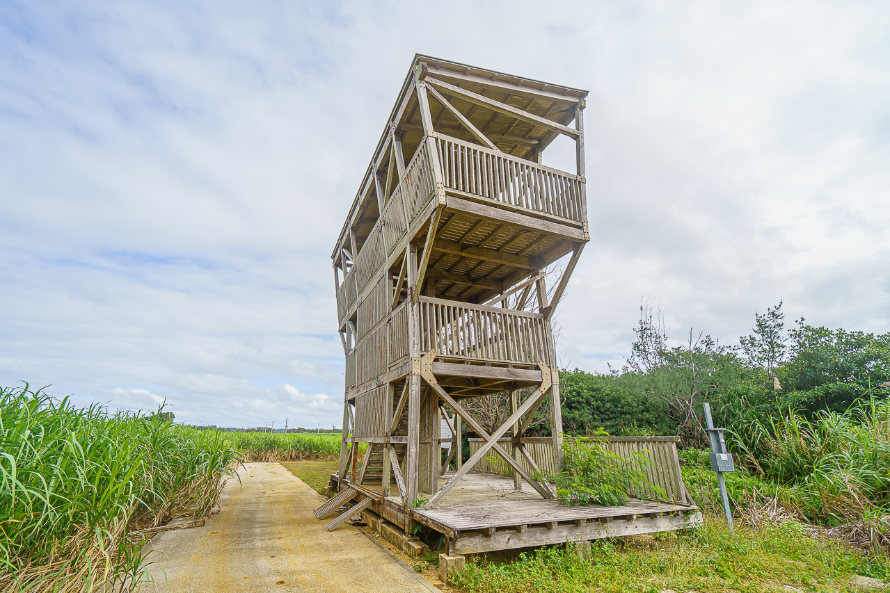 Minamidaito Island: A Remote Pacific Island in Okinawa — original photograph 7