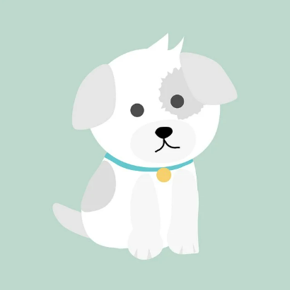 반려동물용 쿨매트 추천｜직접 써본 여름 필수템 비교