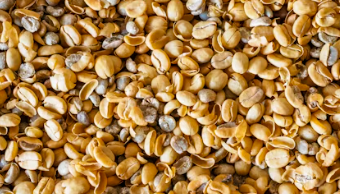 햄프씨드 효능 : 면역력