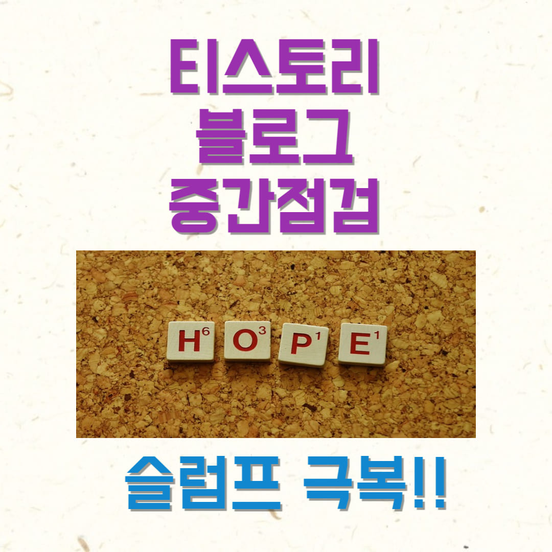 티스토리 블로그 중간점검