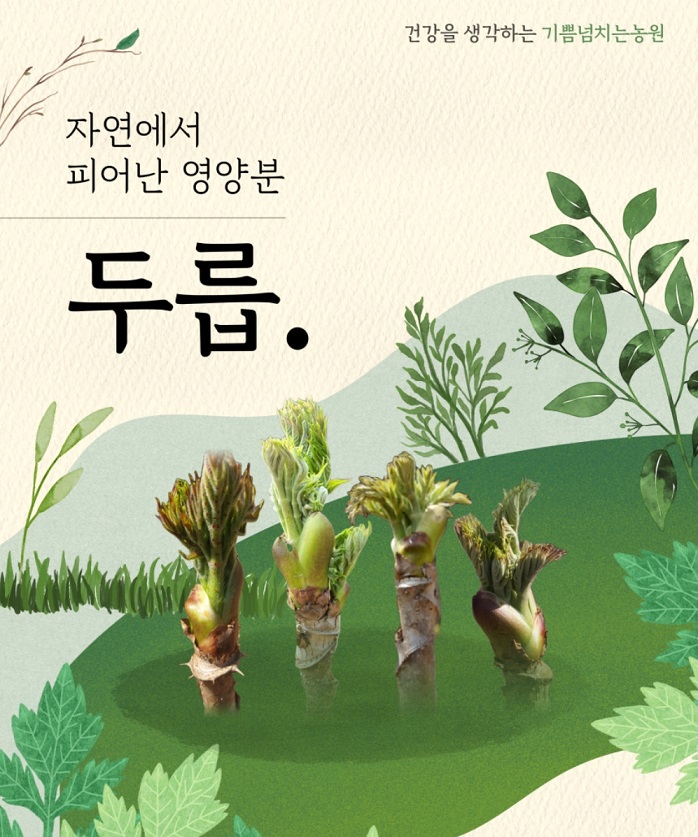 땅두릅-6시내고향