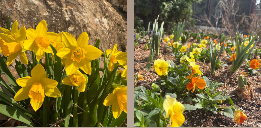 2025 화담숲 예약 방법 & 꿀팁 총정리 - 운영시간·요금·환불까지 1