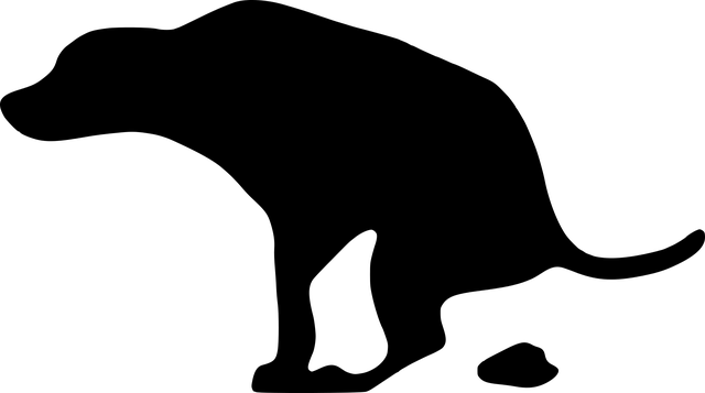 똥 꿈 해몽 (2)