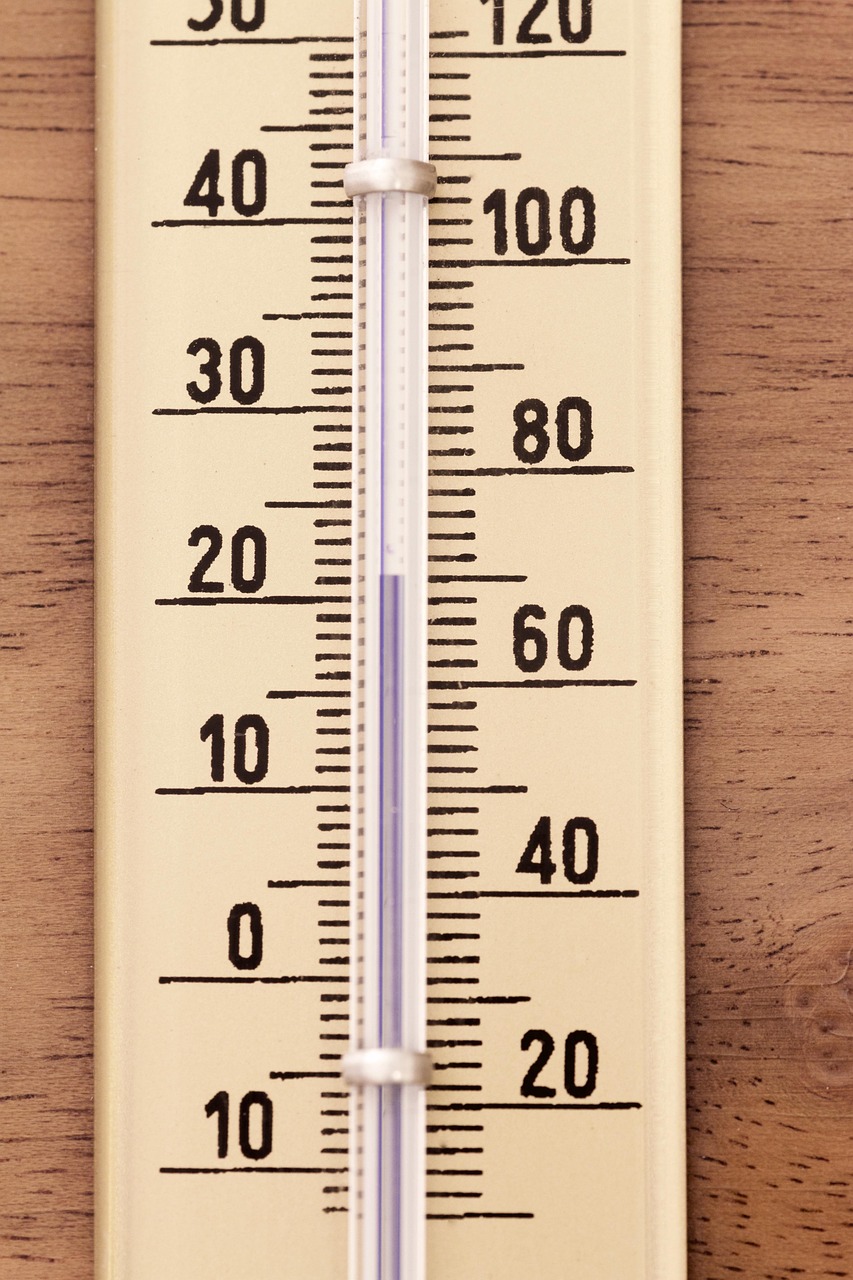 에어컨 전기세&amp;#44; 전기세 절약&amp;#44; 여름 전기요금&amp;#44; 2025 여름 전기세&amp;#44; 에어컨 전기세 아끼는 법&amp;#44; 전기세 절약 팁 2025&amp;#44; 여름 에너지 절약&amp;#44; 누진세 피하는 에어컨 사용법&amp;#44; 에어컨 전기세&amp;#44; 전기세 절약&amp;#44; 여름 전기요금&amp;#44; 2025 여름 전기세&amp;#44; 에어컨 전기세 아끼는 법&amp;#44; 전기세 절약 팁 2025&amp;#44; 여름 에너지 절약&amp;#44; 누진세 피하는 에어컨 사용법&amp;#44; 에어컨 전기세&amp;#44; 전기세 절약&amp;#44; 여름 전기요금&amp;#44; 2025 여름 전기세&amp;#44; 에어컨 전기세 아끼는 법&amp;#44; 전기세 절약 팁 2025&amp;#44; 여름 에너지 절약&amp;#44; 누진세 피하는 에어컨 사용법&amp;#44; 에어컨 전기세&amp;#44; 전기세 절약&amp;#44; 여름 전기요금&amp;#44; 2025 여름 전기세&amp;#44; 에어컨 전기세 아끼는 법&amp;#44; 전기세 절약 팁 2025&amp;#44; 여름 에너지 절약&amp;#44; 누진세 피하는 에어컨 사용법&amp;#44; 에어컨 전기세&amp;#44; 전기세 절약&amp;#44; 여름 전기요금&amp;#44; 2025 여름 전기세&amp;#44; 에어컨 전기세 아끼는 법&amp;#44; 전기세 절약 팁 2025&amp;#44; 여름 에너지 절약&amp;#44; 누진세 피하는 에어컨 사용법&amp;#44; 에어컨 전기세&amp;#44; 전기세 절약&amp;#44; 여름 전기요금&amp;#44; 2025 여름 전기세&amp;#44; 에어컨 전기세 아끼는 법&amp;#44; 전기세 절약 팁 2025&amp;#44; 여름 에너지 절약&amp;#44; 누진세 피하는 에어컨 사용법&amp;#44; 에어컨 전기세&amp;#44; 전기세 절약&amp;#44; 여름 전기요금&amp;#44; 2025 여름 전기세&amp;#44; 에어컨 전기세 아끼는 법&amp;#44; 전기세 절약 팁 2025&amp;#44; 여름 에너지 절약&amp;#44; 누진세 피하는 에어컨 사용법&amp;#44; 에어컨 전기세&amp;#44; 전기세 절약&amp;#44; 여름 전기요금&amp;#44; 2025 여름 전기세&amp;#44; 에어컨 전기세 아끼는 법&amp;#44; 전기세 절약 팁 2025&amp;#44; 여름 에너지 절약&amp;#44; 누진세 피하는 에어컨 사용법&amp;#44; 에어컨 전기세&amp;#44; 전기세 절약&amp;#44; 여름 전기요금&amp;#44; 2025 여름 전기세&amp;#44; 에어컨 전기세 아끼는 법&amp;#44; 전기세 절약 팁 2025&amp;#44; 여름 에너지 절약&amp;#44; 누진세 피하는 에어컨 사용법&amp;#44; 에어컨 전기세&amp;#44; 전기세 절약&amp;#44; 여름 전기요금&amp;#44; 2025 여름 전기세&amp;#44; 에어컨 전기세 아끼는 법&amp;#44; 전기세 절약 팁 2025&amp;#44; 여름 에너지 절약&amp;#44; 누진세 피하는 에어컨 사용법&amp;#44; 에어컨 전기세&amp;#44; 전기세 절약&amp;#44; 여름 전기요금&amp;#44; 2025 여름 전기세&amp;#44; 에어컨 전기세 아끼는 법&amp;#44; 전기세 절약 팁 2025&amp;#44; 여름 에너지 절약&amp;#44; 누진세 피하는 에어컨 사용법&amp;#44; 에어컨 전기세&amp;#44; 전기세 절약&amp;#44; 여름 전기요금&amp;#44; 2025 여름 전기세&amp;#44; 에어컨 전기세 아끼는 법&amp;#44; 전기세 절약 팁 2025&amp;#44; 여름 에너지 절약&amp;#44; 누진세 피하는 에어컨 사용법&amp;#44; 에어컨 전기세&amp;#44; 전기세 절약&amp;#44; 여름 전기요금&amp;#44; 2025 여름 전기세&amp;#44; 에어컨 전기세 아끼는 법&amp;#44; 전기세 절약 팁 2025&amp;#44; 여름 에너지 절약&amp;#44; 누진세 피하는 에어컨 사용법&amp;#44; 에어컨 전기세&amp;#44; 전기세 절약&amp;#44; 여름 전기요금&amp;#44; 2025 여름 전기세&amp;#44; 에어컨 전기세 아끼는 법&amp;#44; 전기세 절약 팁 2025&amp;#44; 여름 에너지 절약&amp;#44; 누진세 피하는 에어컨 사용법&amp;#44; 에어컨 전기세&amp;#44; 전기세 절약&amp;#44; 여름 전기요금&amp;#44; 2025 여름 전기세&amp;#44; 에어컨 전기세 아끼는 법&amp;#44; 전기세 절약 팁 2025&amp;#44; 여름 에너지 절약&amp;#44; 누진세 피하는 에어컨 사용법&amp;#44; 에어컨 전기세&amp;#44; 전기세 절약&amp;#44; 여름 전기요금&amp;#44; 2025 여름 전기세&amp;#44; 에어컨 전기세 아끼는 법&amp;#44; 전기세 절약 팁 2025&amp;#44; 여름 에너지 절약&amp;#44; 누진세 피하는 에어컨 사용법&amp;#44; 에어컨 전기세&amp;#44; 전기세 절약&amp;#44; 여름 전기요금&amp;#44; 2025 여름 전기세&amp;#44; 에어컨 전기세 아끼는 법&amp;#44; 전기세 절약 팁 2025&amp;#44; 여름 에너지 절약&amp;#44; 누진세 피하는 에어컨 사용법&amp;#44; 에어컨 전기세&amp;#44; 전기세 절약&amp;#44; 여름 전기요금&amp;#44; 2025 여름 전기세&amp;#44; 에어컨 전기세 아끼는 법&amp;#44; 전기세 절약 팁 2025&amp;#44; 여름 에너지 절약&amp;#44; 누진세 피하는 에어컨 사용법&amp;#44; 에어컨 전기세&amp;#44; 전기세 절약&amp;#44; 여름 전기요금&amp;#44; 2025 여름 전기세&amp;#44; 에어컨 전기세 아끼는 법&amp;#44; 전기세 절약 팁 2025&amp;#44; 여름 에너지 절약&amp;#44; 누진세 피하는 에어컨 사용법&amp;#44; 에어컨 전기세&amp;#44; 전기세 절약&amp;#44; 여름 전기요금&amp;#44; 2025 여름 전기세&amp;#44; 에어컨 전기세 아끼는 법&amp;#44; 전기세 절약 팁 2025&amp;#44; 여름 에너지 절약&amp;#44; 누진세 피하는 에어컨 사용법&amp;#44; 에어컨 전기세&amp;#44; 전기세 절약&amp;#44; 여름 전기요금&amp;#44; 2025 여름 전기세&amp;#44; 에어컨 전기세 아끼는 법&amp;#44; 전기세 절약 팁 2025&amp;#44; 여름 에너지 절약&amp;#44; 누진세 피하는 에어컨 사용법&amp;#44; 에어컨 전기세&amp;#44; 전기세 절약&amp;#44; 여름 전기요금&amp;#44; 2025 여름 전기세&amp;#44; 에어컨 전기세 아끼는 법&amp;#44; 전기세 절약 팁 2025&amp;#44; 여름 에너지 절약&amp;#44; 누진세 피하는 에어컨 사용법&amp;#44; 에어컨 전기세&amp;#44; 전기세 절약&amp;#44; 여름 전기요금&amp;#44; 2025 여름 전기세&amp;#44; 에어컨 전기세 아끼는 법&amp;#44; 전기세 절약 팁 2025&amp;#44; 여름 에너지 절약&amp;#44; 누진세 피하는 에어컨 사용법&amp;#44; 에어컨 전기세&amp;#44; 전기세 절약&amp;#44; 여름 전기요금&amp;#44; 2025 여름 전기세&amp;#44; 에어컨 전기세 아끼는 법&amp;#44; 전기세 절약 팁 2025&amp;#44; 여름 에너지 절약&amp;#44; 누진세 피하는 에어컨 사용법&amp;#44; 에어컨 전기세&amp;#44; 전기세 절약&amp;#44; 여름 전기요금&amp;#44; 2025 여름 전기세&amp;#44; 에어컨 전기세 아끼는 법&amp;#44; 전기세 절약 팁 2025&amp;#44; 여름 에너지 절약&amp;#44; 누진세 피하는 에어컨 사용법&amp;#44; 에어컨 전기세&amp;#44; 전기세 절약&amp;#44; 여름 전기요금&amp;#44; 2025 여름 전기세&amp;#44; 에어컨 전기세 아끼는 법&amp;#44; 전기세 절약 팁 2025&amp;#44; 여름 에너지 절약&amp;#44; 누진세 피하는 에어컨 사용법&amp;#44; 에어컨 전기세&amp;#44; 전기세 절약&amp;#44; 여름 전기요금&amp;#44; 2025 여름 전기세&amp;#44; 에어컨 전기세 아끼는 법&amp;#44; 전기세 절약 팁 2025&amp;#44; 여름 에너지 절약&amp;#44; 누진세 피하는 에어컨 사용법&amp;#44; 에어컨 전기세&amp;#44; 전기세 절약&amp;#44; 여름 전기요금&amp;#44; 2025 여름 전기세&amp;#44; 에어컨 전기세 아끼는 법&amp;#44; 전기세 절약 팁 2025&amp;#44; 여름 에너지 절약&amp;#44; 누진세 피하는 에어컨 사용법&amp;#44; 에어컨 전기세&amp;#44; 전기세 절약&amp;#44; 여름 전기요금&amp;#44; 2025 여름 전기세&amp;#44; 에어컨 전기세 아끼는 법&amp;#44; 전기세 절약 팁 2025&amp;#44; 여름 에너지 절약&amp;#44; 누진세 피하는 에어컨 사용법&amp;#44; 에어컨 전기세&amp;#44; 전기세 절약&amp;#44; 여름 전기요금&amp;#44; 2025 여름 전기세&amp;#44; 에어컨 전기세 아끼는 법&amp;#44; 전기세 절약 팁 2025&amp;#44; 여름 에너지 절약&amp;#44; 누진세 피하는 에어컨 사용법&amp;#44; 에어컨 전기세&amp;#44; 전기세 절약&amp;#44; 여름 전기요금&amp;#44; 2025 여름 전기세&amp;#44; 에어컨 전기세 아끼는 법&amp;#44; 전기세 절약 팁 2025&amp;#44; 여름 에너지 절약&amp;#44; 누진세 피하는 에어컨 사용법&amp;#44; 에어컨 전기세&amp;#44; 전기세 절약&amp;#44; 여름 전기요금&amp;#44; 2025 여름 전기세&amp;#44; 에어컨 전기세 아끼는 법&amp;#44; 전기세 절약 팁 2025&amp;#44; 여름 에너지 절약&amp;#44; 누진세 피하는 에어컨 사용법&amp;#44; 에어컨 전기세&amp;#44; 전기세 절약&amp;#44; 여름 전기요금&amp;#44; 2025 여름 전기세&amp;#44; 에어컨 전기세 아끼는 법&amp;#44; 전기세 절약 팁 2025&amp;#44; 여름 에너지 절약&amp;#44; 누진세 피하는 에어컨 사용법&amp;#44; 에어컨 전기세&amp;#44; 전기세 절약&amp;#44; 여름 전기요금&amp;#44; 2025 여름 전기세&amp;#44; 에어컨 전기세 아끼는 법&amp;#44; 전기세 절약 팁 2025&amp;#44; 여름 에너지 절약&amp;#44; 누진세 피하는 에어컨 사용법&amp;#44; 에어컨 전기세&amp;#44; 전기세 절약&amp;#44; 여름 전기요금&amp;#44; 2025 여름 전기세&amp;#44; 에어컨 전기세 아끼는 법&amp;#44; 전기세 절약 팁 2025&amp;#44; 여름 에너지 절약&amp;#44; 누진세 피하는 에어컨 사용법&amp;#44; 에어컨 전기세&amp;#44; 전기세 절약&amp;#44; 여름 전기요금&amp;#44; 2025 여름 전기세&amp;#44; 에어컨 전기세 아끼는 법&amp;#44; 전기세 절약 팁 2025&amp;#44; 여름 에너지 절약&amp;#44; 누진세 피하는 에어컨 사용법&amp;#44; 에어컨 전기세&amp;#44; 전기세 절약&amp;#44; 여름 전기요금&amp;#44; 2025 여름 전기세&amp;#44; 에어컨 전기세 아끼는 법&amp;#44; 전기세 절약 팁 2025&amp;#44; 여름 에너지 절약&amp;#44; 누진세 피하는 에어컨 사용법&amp;#44; 에어컨 전기세&amp;#44; 전기세 절약&amp;#44; 여름 전기요금&amp;#44; 2025 여름 전기세&amp;#44; 에어컨 전기세 아끼는 법&amp;#44; 전기세 절약 팁 2025&amp;#44; 여름 에너지 절약&amp;#44; 누진세 피하는 에어컨 사용법&amp;#44; 에어컨 전기세&amp;#44; 전기세 절약&amp;#44; 여름 전기요금&amp;#44; 2025 여름 전기세&amp;#44; 에어컨 전기세 아끼는 법&amp;#44; 전기세 절약 팁 2025&amp;#44; 여름 에너지 절약&amp;#44; 누진세 피하는 에어컨 사용법&amp;#44; 에어컨 전기세&amp;#44; 전기세 절약&amp;#44; 여름 전기요금&amp;#44; 2025 여름 전기세&amp;#44; 에어컨 전기세 아끼는 법&amp;#44; 전기세 절약 팁 2025&amp;#44; 여름 에너지 절약&amp;#44; 누진세 피하는 에어컨 사용법&amp;#44; 에어컨 전기세&amp;#44; 전기세 절약&amp;#44; 여름 전기요금&amp;#44; 2025 여름 전기세&amp;#44; 에어컨 전기세 아끼는 법&amp;#44; 전기세 절약 팁 2025&amp;#44; 여름 에너지 절약&amp;#44; 누진세 피하는 에어컨 사용법&amp;#44; 에어컨 전기세&amp;#44; 전기세 절약&amp;#44; 여름 전기요금&amp;#44; 2025 여름 전기세&amp;#44; 에어컨 전기세 아끼는 법&amp;#44; 전기세 절약 팁 2025&amp;#44; 여름 에너지 절약&amp;#44; 누진세 피하는 에어컨 사용법&amp;#44; 에어컨 전기세&amp;#44; 전기세 절약&amp;#44; 여름 전기요금&amp;#44; 2025 여름 전기세&amp;#44; 에어컨 전기세 아끼는 법&amp;#44; 전기세 절약 팁 2025&amp;#44; 여름 에너지 절약&amp;#44; 누진세 피하는 에어컨 사용법&amp;#44; 에어컨 전기세&amp;#44; 전기세 절약&amp;#44; 여름 전기요금&amp;#44; 2025 여름 전기세&amp;#44; 에어컨 전기세 아끼는 법&amp;#44; 전기세 절약 팁 2025&amp;#44; 여름 에너지 절약&amp;#44; 누진세 피하는 에어컨 사용법&amp;#44; 에어컨 전기세&amp;#44; 전기세 절약&amp;#44; 여름 전기요금&amp;#44; 2025 여름 전기세&amp;#44; 에어컨 전기세 아끼는 법&amp;#44; 전기세 절약 팁 2025&amp;#44; 여름 에너지 절약&amp;#44; 누진세 피하는 에어컨 사용법&amp;#44; 에어컨 전기세&amp;#44; 전기세 절약&amp;#44; 여름 전기요금&amp;#44; 2025 여름 전기세&amp;#44; 에어컨 전기세 아끼는 법&amp;#44; 전기세 절약 팁 2025&amp;#44; 여름 에너지 절약&amp;#44; 누진세 피하는 에어컨 사용법&amp;#44; 에어컨 전기세&amp;#44; 전기세 절약&amp;#44; 여름 전기요금&amp;#44; 2025 여름 전기세&amp;#44; 에어컨 전기세 아끼는 법&amp;#44; 전기세 절약 팁 2025&amp;#44; 여름 에너지 절약&amp;#44; 누진세 피하는 에어컨 사용법&amp;#44; 에어컨 전기세&amp;#44; 전기세 절약&amp;#44; 여름 전기요금&amp;#44; 2025 여름 전기세&amp;#44; 에어컨 전기세 아끼는 법&amp;#44; 전기세 절약 팁 2025&amp;#44; 여름 에너지 절약&amp;#44; 누진세 피하는 에어컨 사용법&amp;#44; 에어컨 전기세&amp;#44; 전기세 절약&amp;#44; 여름 전기요금&amp;#44; 2025 여름 전기세&amp;#44; 에어컨 전기세 아끼는 법&amp;#44; 전기세 절약 팁 2025&amp;#44; 여름 에너지 절약&amp;#44; 누진세 피하는 에어컨 사용법&amp;#44; 에어컨 전기세&amp;#44; 전기세 절약&amp;#44; 여름 전기요금&amp;#44; 2025 여름 전기세&amp;#44; 에어컨 전기세 아끼는 법&amp;#44; 전기세 절약 팁 2025&amp;#44; 여름 에너지 절약&amp;#44; 누진세 피하는 에어컨 사용법&amp;#44; 에어컨 전기세&amp;#44; 전기세 절약&amp;#44; 여름 전기요금&amp;#44; 2025 여름 전기세&amp;#44; 에어컨 전기세 아끼는 법&amp;#44; 전기세 절약 팁 2025&amp;#44; 여름 에너지 절약&amp;#44; 누진세 피하는 에어컨 사용법&amp;#44; 에어컨 전기세&amp;#44; 전기세 절약&amp;#44; 여름 전기요금&amp;#44; 2025 여름 전기세&amp;#44; 에어컨 전기세 아끼는 법&amp;#44; 전기세 절약 팁 2025&amp;#44; 여름 에너지 절약&amp;#44; 누진세 피하는 에어컨 사용법&amp;#44; 에어컨 전기세&amp;#44; 전기세 절약&amp;#44; 여름 전기요금&amp;#44; 2025 여름 전기세&amp;#44; 에어컨 전기세 아끼는 법&amp;#44; 전기세 절약 팁 2025&amp;#44; 여름 에너지 절약&amp;#44; 누진세 피하는 에어컨 사용법&amp;#44; 에어컨 전기세&amp;#44; 전기세 절약&amp;#44; 여름 전기요금&amp;#44; 2025 여름 전기세&amp;#44; 에어컨 전기세 아끼는 법&amp;#44; 전기세 절약 팁 2025&amp;#44; 여름 에너지 절약&amp;#44; 누진세 피하는 에어컨 사용법&amp;#44; 에어컨 전기세&amp;#44; 전기세 절약&amp;#44; 여름 전기요금&amp;#44; 2025 여름 전기세&amp;#44; 에어컨 전기세 아끼는 법&amp;#44; 전기세 절약 팁 2025&amp;#44; 여름 에너지 절약&amp;#44; 누진세 피하는 에어컨 사용법&amp;#44; 에어컨 전기세&amp;#44; 전기세 절약&amp;#44; 여름 전기요금&amp;#44; 2025 여름 전기세&amp;#44; 에어컨 전기세 아끼는 법&amp;#44; 전기세 절약 팁 2025&amp;#44; 여름 에너지 절약&amp;#44; 누진세 피하는 에어컨 사용법&amp;#44; 에어컨 전기세&amp;#44; 전기세 절약&amp;#44; 여름 전기요금&amp;#44; 2025 여름 전기세&amp;#44; 에어컨 전기세 아끼는 법&amp;#44; 전기세 절약 팁 2025&amp;#44; 여름 에너지 절약&amp;#44; 누진세 피하는 에어컨 사용법&amp;#44; 에어컨 전기세&amp;#44; 전기세 절약&amp;#44; 여름 전기요금&amp;#44; 2025 여름 전기세&amp;#44; 에어컨 전기세 아끼는 법&amp;#44; 전기세 절약 팁 2025&amp;#44; 여름 에너지 절약&amp;#44; 누진세 피하는 에어컨 사용법&amp;#44; 에어컨 전기세&amp;#44; 전기세 절약&amp;#44; 여름 전기요금&amp;#44; 2025 여름 전기세&amp;#44; 에어컨 전기세 아끼는 법&amp;#44; 전기세 절약 팁 2025&amp;#44; 여름 에너지 절약&amp;#44; 누진세 피하는 에어컨 사용법&amp;#44; 에어컨 전기세&amp;#44; 전기세 절약&amp;#44; 여름 전기요금&amp;#44; 2025 여름 전기세&amp;#44; 에어컨 전기세 아끼는 법&amp;#44; 전기세 절약 팁 2025&amp;#44; 여름 에너지 절약&amp;#44; 누진세 피하는 에어컨 사용법&amp;#44; 에어컨 전기세&amp;#44; 전기세 절약&amp;#44; 여름 전기요금&amp;#44; 2025 여름 전기세&amp;#44; 에어컨 전기세 아끼는 법&amp;#44; 전기세 절약 팁 2025&amp;#44; 여름 에너지 절약&amp;#44; 누진세 피하는 에어컨 사용법&amp;#44; 에어컨 전기세&amp;#44; 전기세 절약&amp;#44; 여름 전기요금&amp;#44; 2025 여름 전기세&amp;#44; 에어컨 전기세 아끼는 법&amp;#44; 전기세 절약 팁 2025&amp;#44; 여름 에너지 절약&amp;#44; 누진세 피하는 에어컨 사용법&amp;#44; 에어컨 전기세&amp;#44; 전기세 절약&amp;#44; 여름 전기요금&amp;#44; 2025 여름 전기세&amp;#44; 에어컨 전기세 아끼는 법&amp;#44; 전기세 절약 팁 2025&amp;#44; 여름 에너지 절약&amp;#44; 누진세 피하는 에어컨 사용법&amp;#44; 에어컨 전기세&amp;#44; 전기세 절약&amp;#44; 여름 전기요금&amp;#44; 2025 여름 전기세&amp;#44; 에어컨 전기세 아끼는 법&amp;#44; 전기세 절약 팁 2025&amp;#44; 여름 에너지 절약&amp;#44; 누진세 피하는 에어컨 사용법&amp;#44; 에어컨 전기세&amp;#44; 전기세 절약&amp;#44; 여름 전기요금&amp;#44; 2025 여름 전기세&amp;#44; 에어컨 전기세 아끼는 법&amp;#44; 전기세 절약 팁 2025&amp;#44; 여름 에너지 절약&amp;#44; 누진세 피하는 에어컨 사용법&amp;#44; 에어컨 전기세&amp;#44; 전기세 절약&amp;#44; 여름 전기요금&amp;#44; 2025 여름 전기세&amp;#44; 에어컨 전기세 아끼는 법&amp;#44; 전기세 절약 팁 2025&amp;#44; 여름 에너지 절약&amp;#44; 누진세 피하는 에어컨 사용법&amp;#44; 에어컨 전기세&amp;#44; 전기세 절약&amp;#44; 여름 전기요금&amp;#44; 2025 여름 전기세&amp;#44; 에어컨 전기세 아끼는 법&amp;#44; 전기세 절약 팁 2025&amp;#44; 여름 에너지 절약&amp;#44; 누진세 피하는 에어컨 사용법&amp;#44; 에어컨 전기세&amp;#44; 전기세 절약&amp;#44; 여름 전기요금&amp;#44; 2025 여름 전기세&amp;#44; 에어컨 전기세 아끼는 법&amp;#44; 전기세 절약 팁 2025&amp;#44; 여름 에너지 절약&amp;#44; 누진세 피하는 에어컨 사용법&amp;#44; 에어컨 전기세&amp;#44; 전기세 절약&amp;#44; 여름 전기요금&amp;#44; 2025 여름 전기세&amp;#44; 에어컨 전기세 아끼는 법&amp;#44; 전기세 절약 팁 2025&amp;#44; 여름 에너지 절약&amp;#44; 누진세 피하는 에어컨 사용법&amp;#44; 에어컨 전기세&amp;#44; 전기세 절약&amp;#44; 여름 전기요금&amp;#44; 2025 여름 전기세&amp;#44; 에어컨 전기세 아끼는 법&amp;#44; 전기세 절약 팁 2025&amp;#44; 여름 에너지 절약&amp;#44; 누진세 피하는 에어컨 사용법&amp;#44; 에어컨 전기세&amp;#44; 전기세 절약&amp;#44; 여름 전기요금&amp;#44; 2025 여름 전기세&amp;#44; 에어컨 전기세 아끼는 법&amp;#44; 전기세 절약 팁 2025&amp;#44; 여름 에너지 절약&amp;#44; 누진세 피하는 에어컨 사용법&amp;#44; 에어컨 전기세&amp;#44; 전기세 절약&amp;#44; 여름 전기요금&amp;#44; 2025 여름 전기세&amp;#44; 에어컨 전기세 아끼는 법&amp;#44; 전기세 절약 팁 2025&amp;#44; 여름 에너지 절약&amp;#44; 누진세 피하는 에어컨 사용법&amp;#44; 에어컨 전기세&amp;#44; 전기세 절약&amp;#44; 여름 전기요금&amp;#44; 2025 여름 전기세&amp;#44; 에어컨 전기세 아끼는 법&amp;#44; 전기세 절약 팁 2025&amp;#44; 여름 에너지 절약&amp;#44; 누진세 피하는 에어컨 사용법&amp;#44; 에어컨 전기세&amp;#44; 전기세 절약&amp;#44; 여름 전기요금&amp;#44; 2025 여름 전기세&amp;#44; 에어컨 전기세 아끼는 법&amp;#44; 전기세 절약 팁 2025&amp;#44; 여름 에너지 절약&amp;#44; 누진세 피하는 에어컨 사용법&amp;#44; 에어컨 전기세&amp;#44; 전기세 절약&amp;#44; 여름 전기요금&amp;#44; 2025 여름 전기세&amp;#44; 에어컨 전기세 아끼는 법&amp;#44; 전기세 절약 팁 2025&amp;#44; 여름 에너지 절약&amp;#44; 누진세 피하는 에어컨 사용법&amp;#44; 에어컨 전기세&amp;#44; 전기세 절약&amp;#44; 여름 전기요금&amp;#44; 2025 여름 전기세&amp;#44; 에어컨 전기세 아끼는 법&amp;#44; 전기세 절약 팁 2025&amp;#44; 여름 에너지 절약&amp;#44; 누진세 피하는 에어컨 사용법&amp;#44; 에어컨 전기세&amp;#44; 전기세 절약&amp;#44; 여름 전기요금&amp;#44; 2025 여름 전기세&amp;#44; 에어컨 전기세 아끼는 법&amp;#44; 전기세 절약 팁 2025&amp;#44; 여름 에너지 절약&amp;#44; 누진세 피하는 에어컨 사용법&amp;#44; 에어컨 전기세&amp;#44; 전기세 절약&amp;#44; 여름 전기요금&amp;#44; 2025 여름 전기세&amp;#44; 에어컨 전기세 아끼는 법&amp;#44; 전기세 절약 팁 2025&amp;#44; 여름 에너지 절약&amp;#44; 누진세 피하는 에어컨 사용법&amp;#44; 에어컨 전기세&amp;#44; 전기세 절약&amp;#44; 여름 전기요금&amp;#44; 2025 여름 전기세&amp;#44; 에어컨 전기세 아끼는 법&amp;#44; 전기세 절약 팁 2025&amp;#44; 여름 에너지 절약&amp;#44; 누진세 피하는 에어컨 사용법&amp;#44; 에어컨 전기세&amp;#44; 전기세 절약&amp;#44; 여름 전기요금&amp;#44; 2025 여름 전기세&amp;#44; 에어컨 전기세 아끼는 법&amp;#44; 전기세 절약 팁 2025&amp;#44; 여름 에너지 절약&amp;#44; 누진세 피하는 에어컨 사용법&amp;#44; 에어컨 전기세&amp;#44; 전기세 절약&amp;#44; 여름 전기요금&amp;#44; 2025 여름 전기세&amp;#44; 에어컨 전기세 아끼는 법&amp;#44; 전기세 절약 팁 2025&amp;#44; 여름 에너지 절약&amp;#44; 누진세 피하는 에어컨 사용법&amp;#44; 에어컨 전기세&amp;#44; 전기세 절약&amp;#44; 여름 전기요금&amp;#44; 2025 여름 전기세&amp;#44; 에어컨 전기세 아끼는 법&amp;#44; 전기세 절약 팁 2025&amp;#44; 여름 에너지 절약&amp;#44; 누진세 피하는 에어컨 사용법&amp;#44; 에어컨 전기세&amp;#44; 전기세 절약&amp;#44; 여름 전기요금&amp;#44; 2025 여름 전기세&amp;#44; 에어컨 전기세 아끼는 법&amp;#44; 전기세 절약 팁 2025&amp;#44; 여름 에너지 절약&amp;#44; 누진세 피하는 에어컨 사용법&amp;#44; 에어컨 전기세&amp;#44; 전기세 절약&amp;#44; 여름 전기요금&amp;#44; 2025 여름 전기세&amp;#44; 에어컨 전기세 아끼는 법&amp;#44; 전기세 절약 팁 2025&amp;#44; 여름 에너지 절약&amp;#44; 누진세 피하는 에어컨 사용법&amp;#44; 에어컨 전기세&amp;#44; 전기세 절약&amp;#44; 여름 전기요금&amp;#44; 2025 여름 전기세&amp;#44; 에어컨 전기세 아끼는 법&amp;#44; 전기세 절약 팁 2025&amp;#44; 여름 에너지 절약&amp;#44; 누진세 피하는 에어컨 사용법&amp;#44; 에어컨 전기세&amp;#44; 전기세 절약&amp;#44; 여름 전기요금&amp;#44; 2025 여름 전기세&amp;#44; 에어컨 전기세 아끼는 법&amp;#44; 전기세 절약 팁 2025&amp;#44; 여름 에너지 절약&amp;#44; 누진세 피하는 에어컨 사용법&amp;#44; 에어컨 전기세&amp;#44; 전기세 절약&amp;#44; 여름 전기요금&amp;#44; 2025 여름 전기세&amp;#44; 에어컨 전기세 아끼는 법&amp;#44; 전기세 절약 팁 2025&amp;#44; 여름 에너지 절약&amp;#44; 누진세 피하는 에어컨 사용법&amp;#44; 에어컨 전기세&amp;#44; 전기세 절약&amp;#44; 여름 전기요금&amp;#44; 2025 여름 전기세&amp;#44; 에어컨 전기세 아끼는 법&amp;#44; 전기세 절약 팁 2025&amp;#44; 여름 에너지 절약&amp;#44; 누진세 피하는 에어컨 사용법&amp;#44; 에어컨 전기세&amp;#44; 전기세 절약&amp;#44; 여름 전기요금&amp;#44; 2025 여름 전기세&amp;#44; 에어컨 전기세 아끼는 법&amp;#44; 전기세 절약 팁 2025&amp;#44; 여름 에너지 절약&amp;#44; 누진세 피하는 에어컨 사용법&amp;#44; 에어컨 전기세&amp;#44; 전기세 절약&amp;#44; 여름 전기요금&amp;#44; 2025 여름 전기세&amp;#44; 에어컨 전기세 아끼는 법&amp;#44; 전기세 절약 팁 2025&amp;#44; 여름 에너지 절약&amp;#44; 누진세 피하는 에어컨 사용법&amp;#44; 에어컨 전기세&amp;#44; 전기세 절약&amp;#44; 여름 전기요금&amp;#44; 2025 여름 전기세&amp;#44; 에어컨 전기세 아끼는 법&amp;#44; 전기세 절약 팁 2025&amp;#44; 여름 에너지 절약&amp;#44; 누진세 피하는 에어컨 사용법&amp;#44; 에어컨 전기세&amp;#44; 전기세 절약&amp;#44; 여름 전기요금&amp;#44; 2025 여름 전기세&amp;#44; 에어컨 전기세 아끼는 법&amp;#44; 전기세 절약 팁 2025&amp;#44; 여름 에너지 절약&amp;#44; 누진세 피하는 에어컨 사용법&amp;#44; 에어컨 전기세&amp;#44; 전기세 절약&amp;#44; 여름 전기요금&amp;#44; 2025 여름 전기세&amp;#44; 에어컨 전기세 아끼는 법&amp;#44; 전기세 절약 팁 2025&amp;#44; 여름 에너지 절약&amp;#44; 누진세 피하는 에어컨 사용법&amp;#44; 에어컨 전기세&amp;#44; 전기세 절약&amp;#44; 여름 전기요금&amp;#44; 2025 여름 전기세&amp;#44; 에어컨 전기세 아끼는 법&amp;#44; 전기세 절약 팁 2025&amp;#44; 여름 에너지 절약&amp;#44; 누진세 피하는 에어컨 사용법&amp;#44; 에어컨 전기세&amp;#44; 전기세 절약&amp;#44; 여름 전기요금&amp;#44; 2025 여름 전기세&amp;#44; 에어컨 전기세 아끼는 법&amp;#44; 전기세 절약 팁 2025&amp;#44; 여름 에너지 절약&amp;#44; 누진세 피하는 에어컨 사용법&amp;#44; 에어컨 전기세&amp;#44; 전기세 절약&amp;#44; 여름 전기요금&amp;#44; 2025 여름 전기세&amp;#44; 에어컨 전기세 아끼는 법&amp;#44; 전기세 절약 팁 2025&amp;#44; 여름 에너지 절약&amp;#44; 누진세 피하는 에어컨 사용법&amp;#44; 에어컨 전기세&amp;#44; 전기세 절약&amp;#44; 여름 전기요금&amp;#44; 2025 여름 전기세&amp;#44; 에어컨 전기세 아끼는 법&amp;#44; 전기세 절약 팁 2025&amp;#44; 여름 에너지 절약&amp;#44; 누진세 피하는 에어컨 사용법&amp;#44; 에어컨 전기세&amp;#44; 전기세 절약&amp;#44; 여름 전기요금&amp;#44; 2025 여름 전기세&amp;#44; 에어컨 전기세 아끼는 법&amp;#44; 전기세 절약 팁 2025&amp;#44; 여름 에너지 절약&amp;#44; 누진세 피하는 에어컨 사용법&amp;#44; 에어컨 전기세&amp;#44; 전기세 절약&amp;#44; 여름 전기요금&amp;#44; 2025 여름 전기세&amp;#44; 에어컨 전기세 아끼는 법&amp;#44; 전기세 절약 팁 2025&amp;#44; 여름 에너지 절약&amp;#44; 누진세 피하는 에어컨 사용법&amp;#44; 에어컨 전기세&amp;#44; 전기세 절약&amp;#44; 여름 전기요금&amp;#44; 2025 여름 전기세&amp;#44; 에어컨 전기세 아끼는 법&amp;#44; 전기세 절약 팁 2025&amp;#44; 여름 에너지 절약&amp;#44; 누진세 피하는 에어컨 사용법&amp;#44; 에어컨 전기세&amp;#44; 전기세 절약&amp;#44; 여름 전기요금&amp;#44; 2025 여름 전기세&amp;#44; 에어컨 전기세 아끼는 법&amp;#44; 전기세 절약 팁 2025&amp;#44; 여름 에너지 절약&amp;#44; 누진세 피하는 에어컨 사용법&amp;#44; 에어컨 전기세&amp;#44; 전기세 절약&amp;#44; 여름 전기요금&amp;#44; 2025 여름 전기세&amp;#44; 에어컨 전기세 아끼는 법&amp;#44; 전기세 절약 팁 2025&amp;#44; 여름 에너지 절약&amp;#44; 누진세 피하는 에어컨 사용법&amp;#44; 에어컨 전기세&amp;#44; 전기세 절약&amp;#44; 여름 전기요금&amp;#44; 2025 여름 전기세&amp;#44; 에어컨 전기세 아끼는 법&amp;#44; 전기세 절약 팁 2025&amp;#44; 여름 에너지 절약&amp;#44; 누진세 피하는 에어컨 사용법&amp;#44; 에어컨 전기세&amp;#44; 전기세 절약&amp;#44; 여름 전기요금&amp;#44; 2025 여름 전기세&amp;#44; 에어컨 전기세 아끼는 법&amp;#44; 전기세 절약 팁 2025&amp;#44; 여름 에너지 절약&amp;#44; 누진세 피하는 에어컨 사용법&amp;#44; 에어컨 전기세&amp;#44; 전기세 절약&amp;#44; 여름 전기요금&amp;#44; 2025 여름 전기세&amp;#44; 에어컨 전기세 아끼는 법&amp;#44; 전기세 절약 팁 2025&amp;#44; 여름 에너지 절약&amp;#44; 누진세 피하는 에어컨 사용법&amp;#44; 에어컨 전기세&amp;#44; 전기세 절약&amp;#44; 여름 전기요금&amp;#44; 2025 여름 전기세&amp;#44; 에어컨 전기세 아끼는 법&amp;#44; 전기세 절약 팁 2025&amp;#44; 여름 에너지 절약&amp;#44; 누진세 피하는 에어컨 사용법&amp;#44; 에어컨 전기세&amp;#44; 전기세 절약&amp;#44; 여름 전기요금&amp;#44; 2025 여름 전기세&amp;#44; 에어컨 전기세 아끼는 법&amp;#44; 전기세 절약 팁 2025&amp;#44; 여름 에너지 절약&amp;#44; 누진세 피하는 에어컨 사용법&amp;#44; 에어컨 전기세&amp;#44; 전기세 절약&amp;#44; 여름 전기요금&amp;#44; 2025 여름 전기세&amp;#44; 에어컨 전기세 아끼는 법&amp;#44; 전기세 절약 팁 2025&amp;#44; 여름 에너지 절약&amp;#44; 누진세 피하는 에어컨 사용법&amp;#44; 에어컨 전기세&amp;#44; 전기세 절약&amp;#44; 여름 전기요금&amp;#44; 2025 여름 전기세&amp;#44; 에어컨 전기세 아끼는 법&amp;#44; 전기세 절약 팁 2025&amp;#44; 여름 에너지 절약&amp;#44; 누진세 피하는 에어컨 사용법&amp;#44; 에어컨 전기세&amp;#44; 전기세 절약&amp;#44; 여름 전기요금&amp;#44; 2025 여름 전기세&amp;#44; 에어컨 전기세 아끼는 법&amp;#44; 전기세 절약 팁 2025&amp;#44; 여름 에너지 절약&amp;#44; 누진세 피하는 에어컨 사용법&amp;#44; 에어컨 전기세&amp;#44; 전기세 절약&amp;#44; 여름 전기요금&amp;#44; 2025 여름 전기세&amp;#44; 에어컨 전기세 아끼는 법&amp;#44; 전기세 절약 팁 2025&amp;#44; 여름 에너지 절약&amp;#44; 누진세 피하는 에어컨 사용법&amp;#44; 에어컨 전기세&amp;#44; 전기세 절약&amp;#44; 여름 전기요금&amp;#44; 2025 여름 전기세&amp;#44; 에어컨 전기세 아끼는 법&amp;#44; 전기세 절약 팁 2025&amp;#44; 여름 에너지 절약&amp;#44; 누진세 피하는 에어컨 사용법&amp;#44; 에어컨 전기세&amp;#44; 전기세 절약&amp;#44; 여름 전기요금&amp;#44; 2025 여름 전기세&amp;#44; 에어컨 전기세 아끼는 법&amp;#44; 전기세 절약 팁 2025&amp;#44; 여름 에너지 절약&amp;#44; 누진세 피하는 에어컨 사용법&amp;#44; 에어컨 전기세&amp;#44; 전기세 절약&amp;#44; 여름 전기요금&amp;#44; 2025 여름 전기세&amp;#44; 에어컨 전기세 아끼는 법&amp;#44; 전기세 절약 팁 2025&amp;#44; 여름 에너지 절약&amp;#44; 누진세 피하는 에어컨 사용법&amp;#44; 에어컨 전기세&amp;#44; 전기세 절약&amp;#44; 여름 전기요금&amp;#44; 2025 여름 전기세&amp;#44; 에어컨 전기세 아끼는 법&amp;#44; 전기세 절약 팁 2025&amp;#44; 여름 에너지 절약&amp;#44; 누진세 피하는 에어컨 사용법&amp;#44; 에어컨 전기세&amp;#44; 전기세 절약&amp;#44; 여름 전기요금&amp;#44; 2025 여름 전기세&amp;#44; 에어컨 전기세 아끼는 법&amp;#44; 전기세 절약 팁 2025&amp;#44; 여름 에너지 절약&amp;#44; 누진세 피하는 에어컨 사용법&amp;#44; 에어컨 전기세&amp;#44; 전기세 절약&amp;#44; 여름 전기요금&amp;#44; 2025 여름 전기세&amp;#44; 에어컨 전기세 아끼는 법&amp;#44; 전기세 절약 팁 2025&amp;#44; 여름 에너지 절약&amp;#44; 누진세 피하는 에어컨 사용법&amp;#44; 에어컨 전기세&amp;#44; 전기세 절약&amp;#44; 여름 전기요금&amp;#44; 2025 여름 전기세&amp;#44; 에어컨 전기세 아끼는 법&amp;#44; 전기세 절약 팁 2025&amp;#44; 여름 에너지 절약&amp;#44; 누진세 피하는 에어컨 사용법&amp;#44; 에어컨 전기세&amp;#44; 전기세 절약&amp;#44; 여름 전기요금&amp;#44; 2025 여름 전기세&amp;#44; 에어컨 전기세 아끼는 법&amp;#44; 전기세 절약 팁 2025&amp;#44; 여름 에너지 절약&amp;#44; 누진세 피하는 에어컨 사용법&amp;#44; 에어컨 전기세&amp;#44; 전기세 절약&amp;#44; 여름 전기요금&amp;#44; 2025 여름 전기세&amp;#44; 에어컨 전기세 아끼는 법&amp;#44; 전기세 절약 팁 2025&amp;#44; 여름 에너지 절약&amp;#44; 누진세 피하는 에어컨 사용법&amp;#44; 에어컨 전기세&amp;#44; 전기세 절약&amp;#44; 여름 전기요금&amp;#44; 2025 여름 전기세&amp;#44; 에어컨 전기세 아끼는 법&amp;#44; 전기세 절약 팁 2025&amp;#44; 여름 에너지 절약&amp;#44; 누진세 피하는 에어컨 사용법.