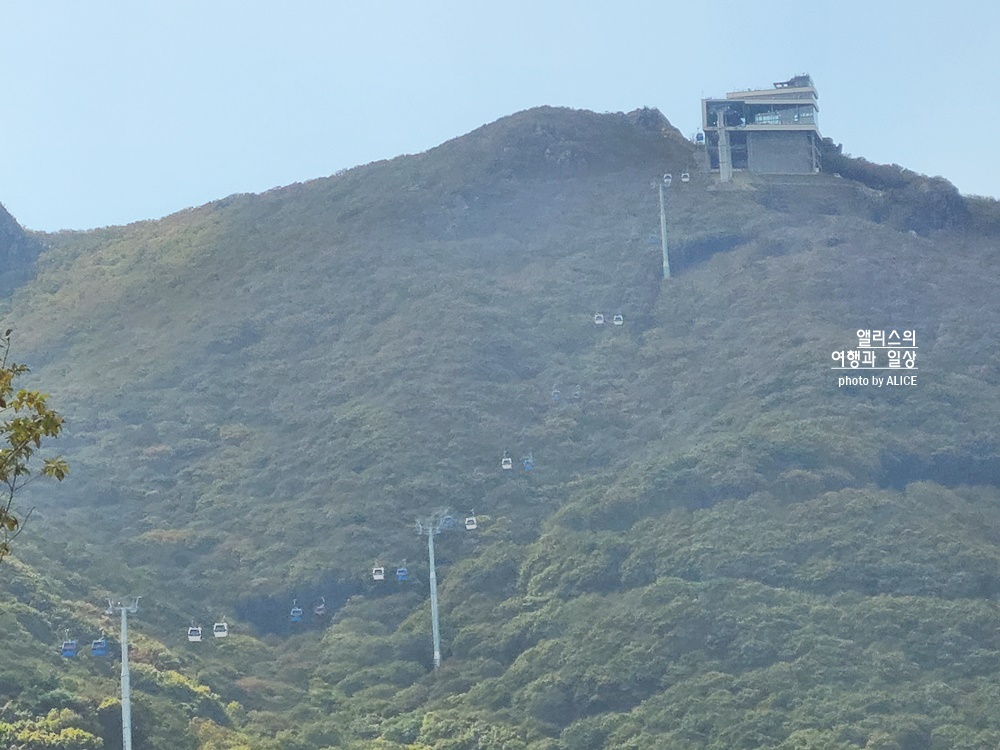 벨리곰과 함께 거제 파노라마 케이블카 할인 예약 시간 거제도 가볼만한곳