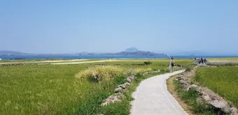제주 가파도 가는 운진항 배 시간표 요금 예약 예매_12