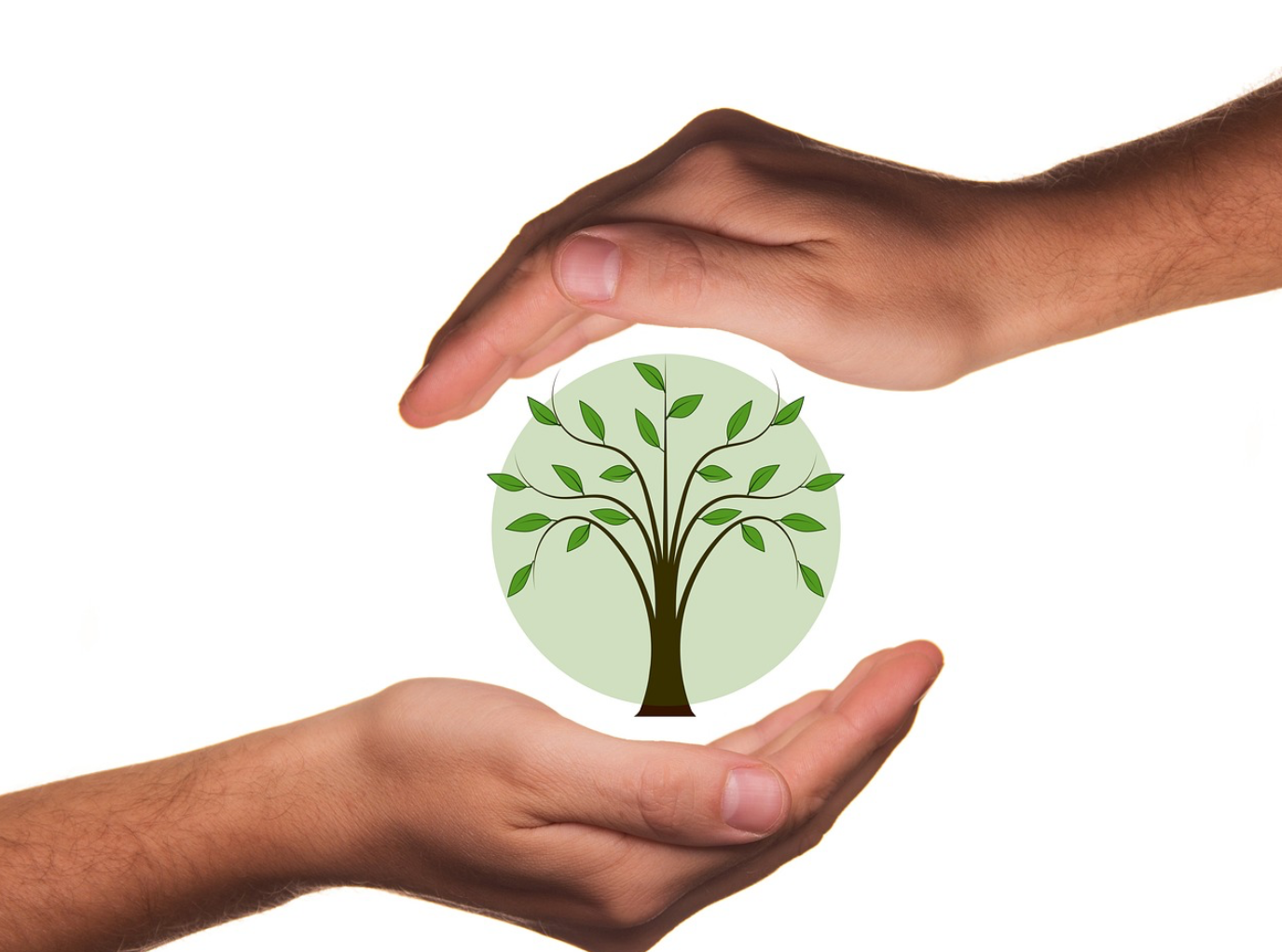 에코-포장 기술: 지속 가능한 식품 포장 혁명