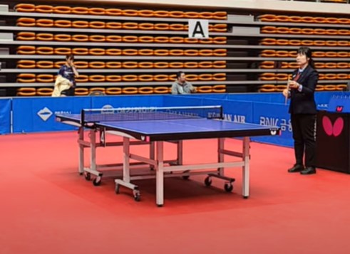 pingpong