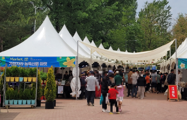 2024 가평 자라섬 꽃 페스타: 북한강 가을 꽃축제&amp;#44; 할인 혜택&amp;#44; 프로그램&amp;#44; 주차팁