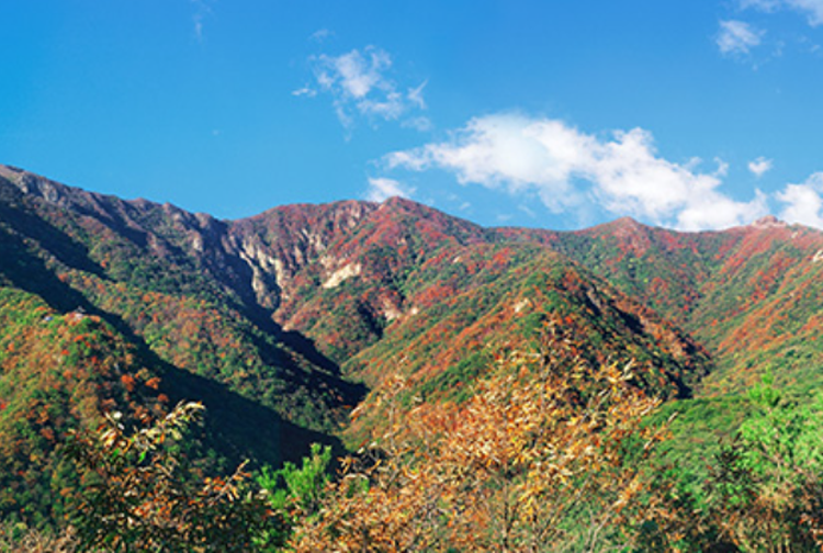 내장산 생태탐방원