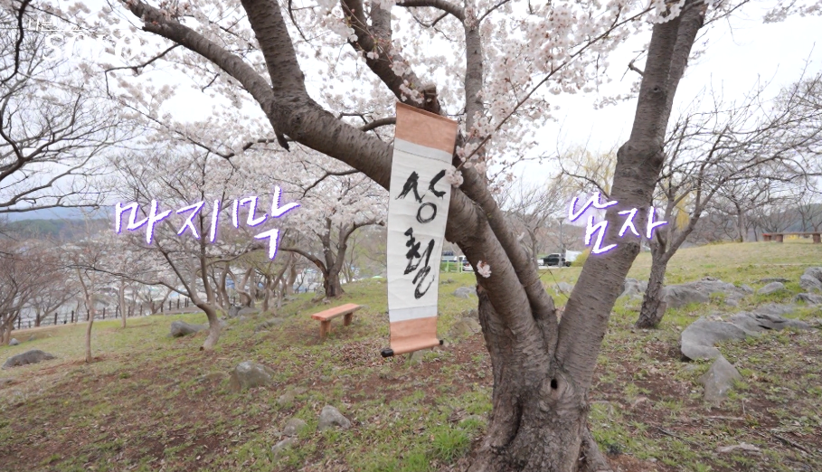 나는솔로 21기
