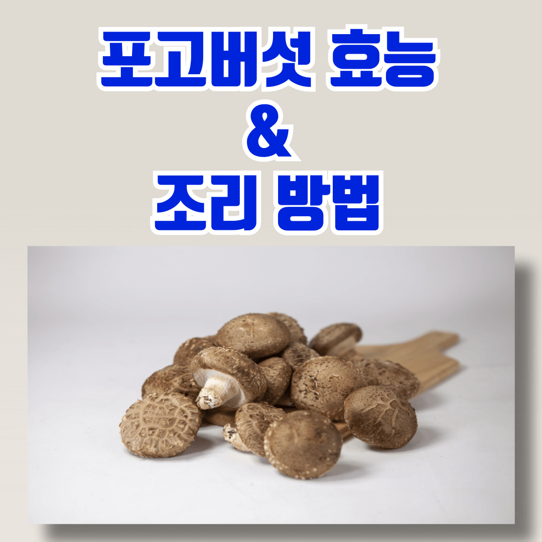 표고버섯 효능과 조리방법