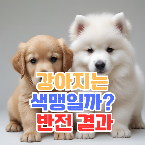 강아지는 색맹일까 썸네일 이미지