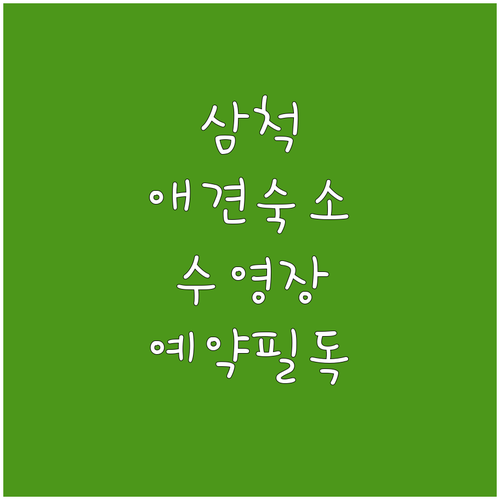 삼척 애견 동반 숙소와 수영장 리조트..