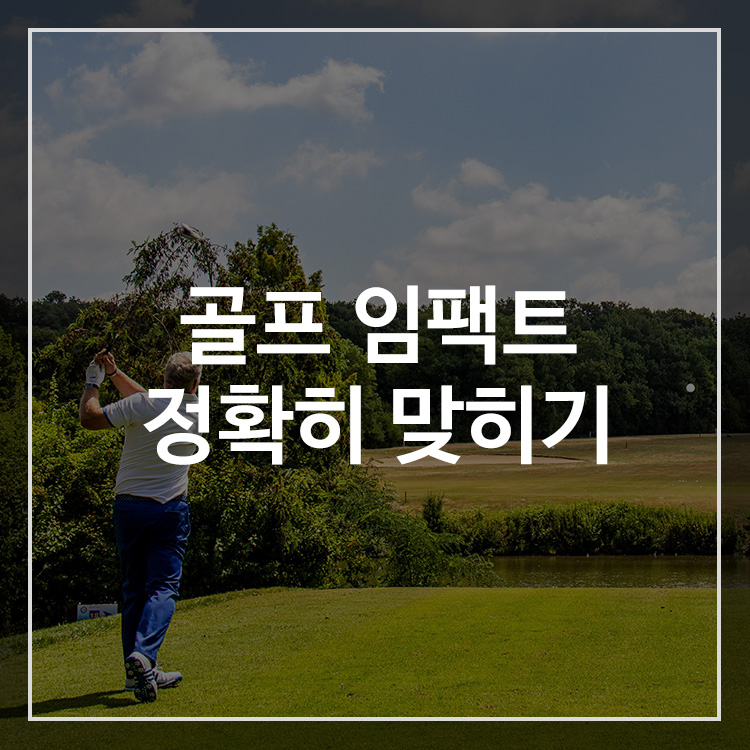 골프 임팩트 자세와 공 맞히는 연습법