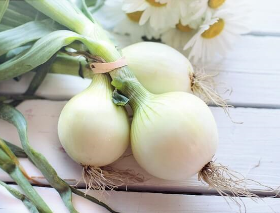 담석증-좋은음식-양파