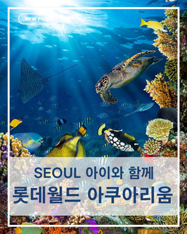 서울 아이와 가볼 만한 곳｜롯데월드 아쿠아리움 해양생물 관람 후기