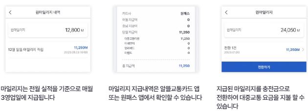 IM원패스