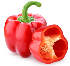 파프리카