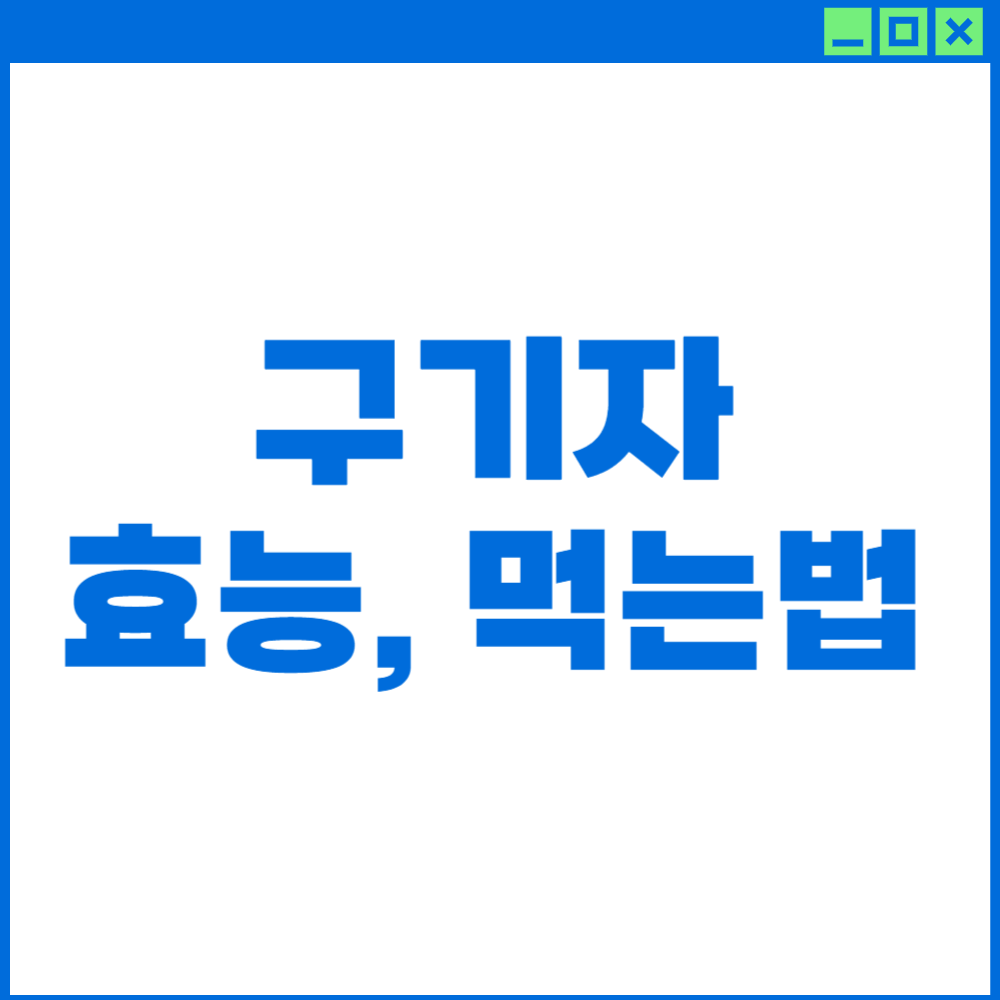 구기자 효능