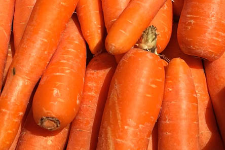 저녁밥대신야채-당근