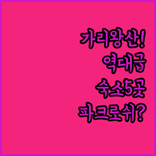 정선 평창 가리왕산 숙소 추천 파크로..