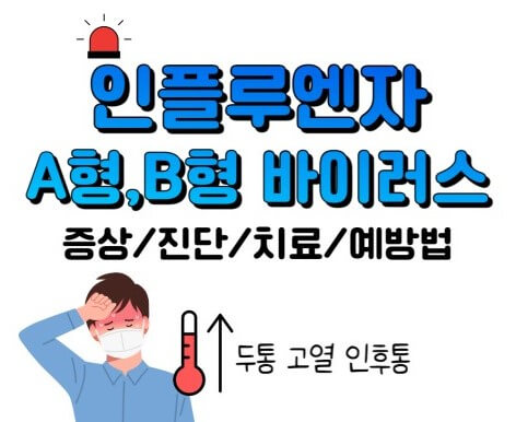 독감 인플루엔자의 종류