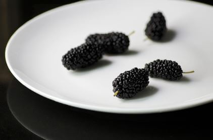 오디의-주요-효능3