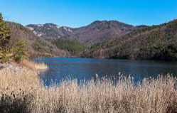 계룡산 국립공원 실시간 cctv