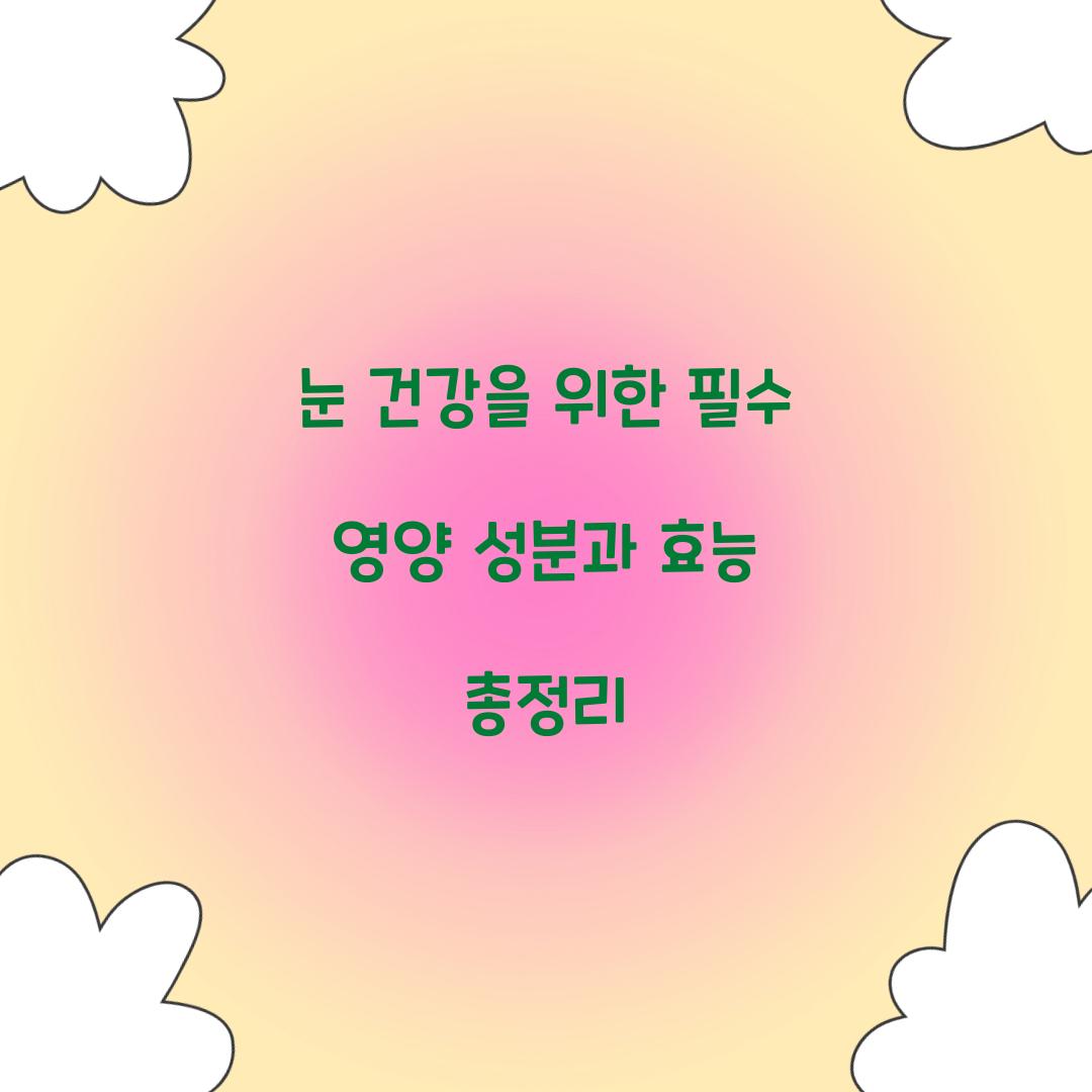 눈 영양 성분