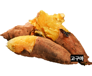 고구마사진