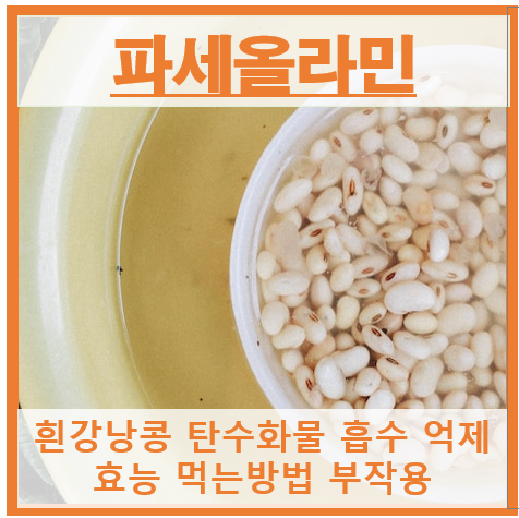 파세올라민 썸네일