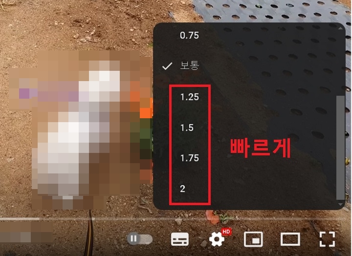 속도 선택창 보임