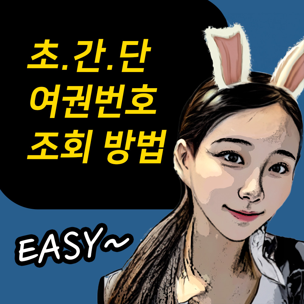 여권번호 조회 방법