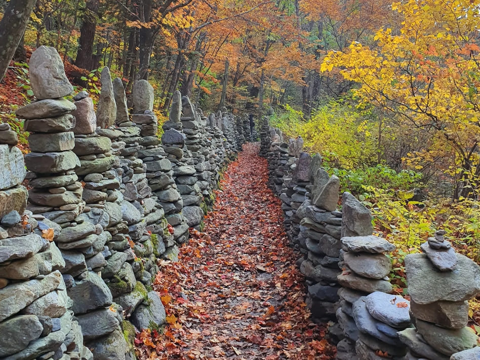 노추산