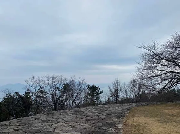 대국산성