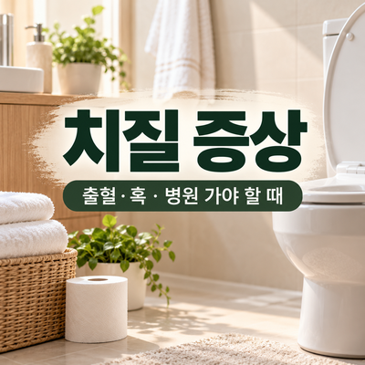 차분한 욕실의 변기와 수건, 치질 증상 및 출혈&middot;혹&middot;진료 안내